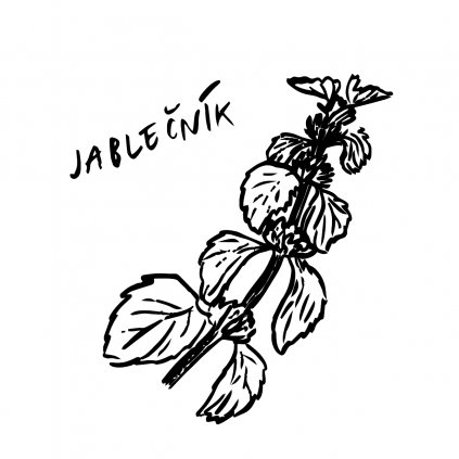 JABLECNIK web 01