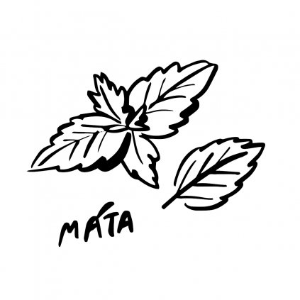 MATA web 01