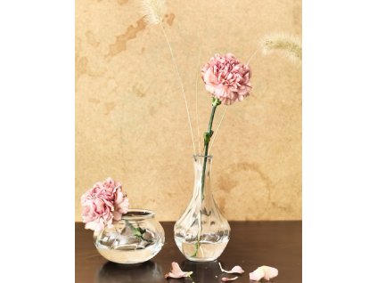 20231219 191034632 iOS