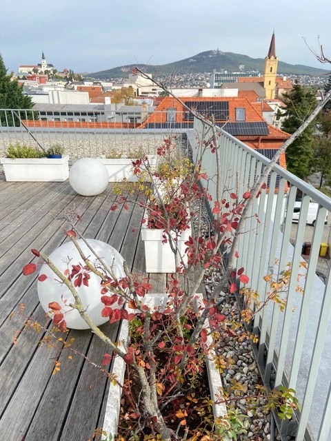 Kveto1