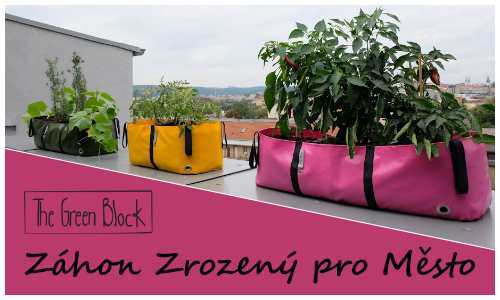 The Green Block záhon zrozený pro město