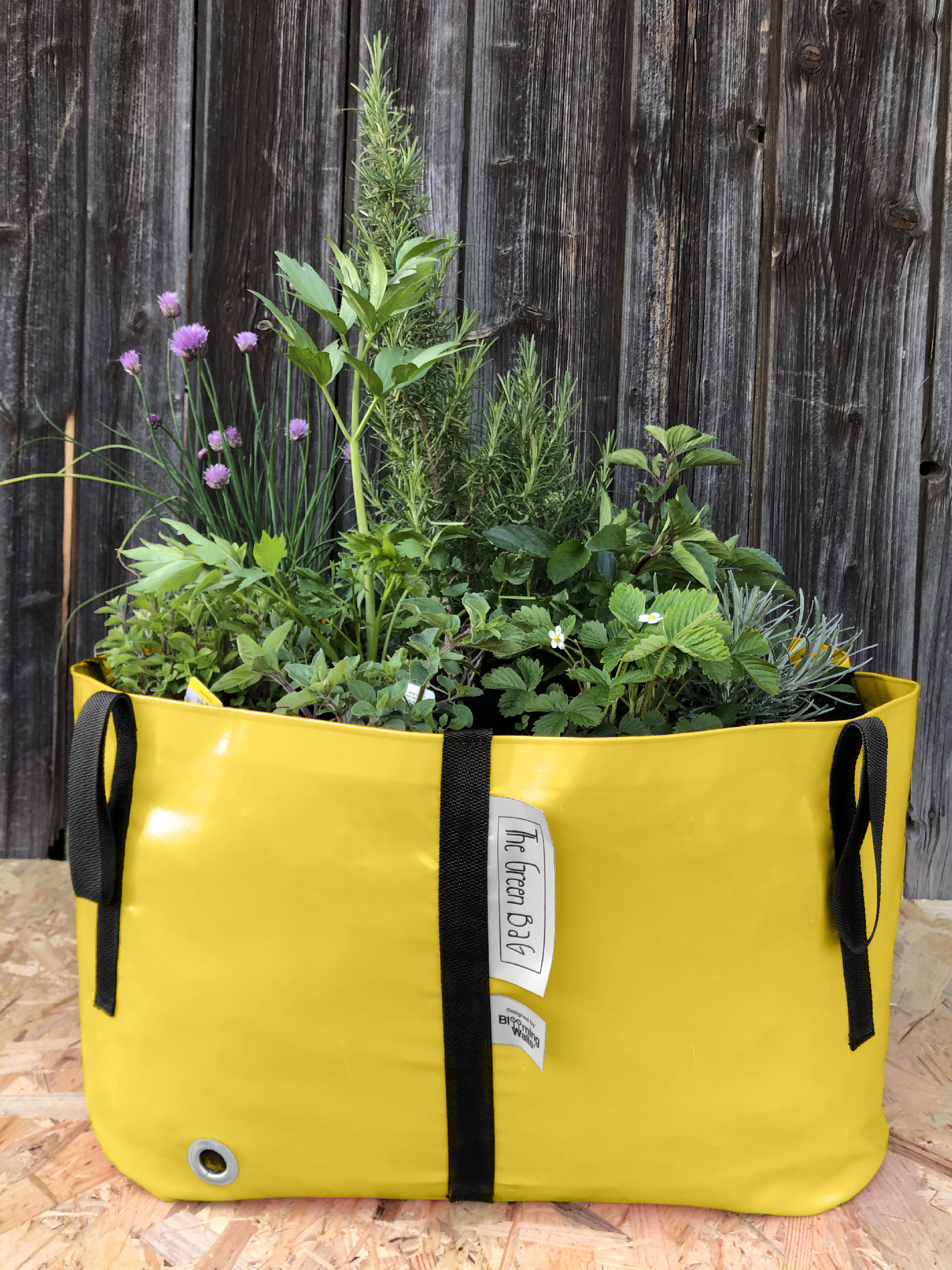 The Green Bag M - osázený bylinkový záhon žlutá