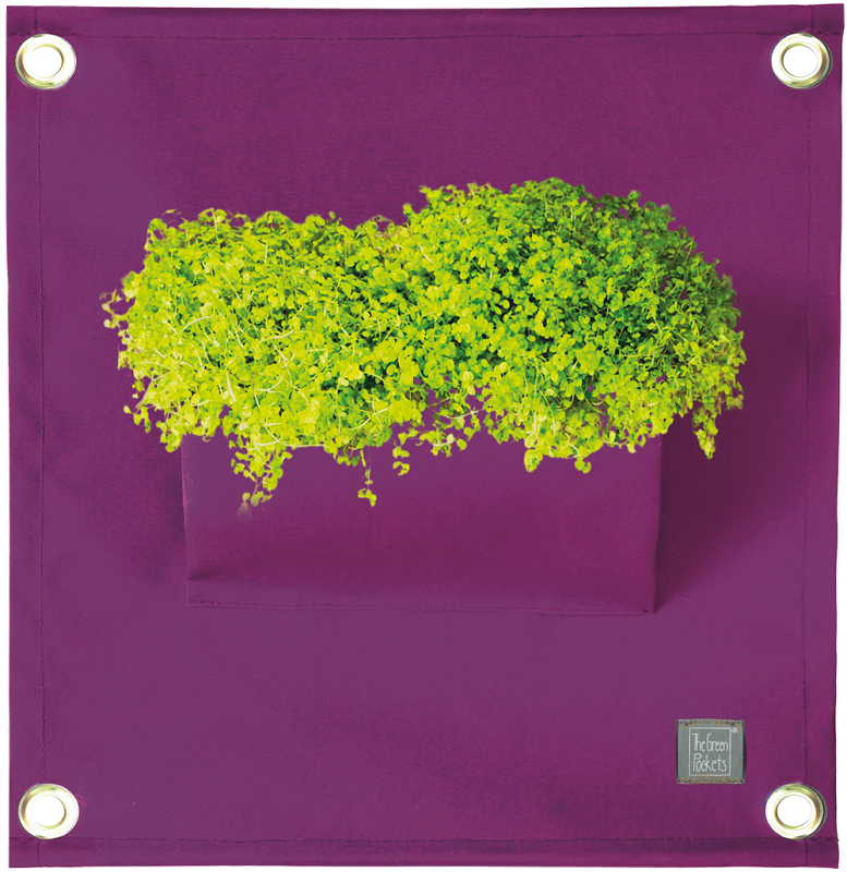 Fotografie The Green Pockets AMMA - závěsný obal na květináče Fialová vzor