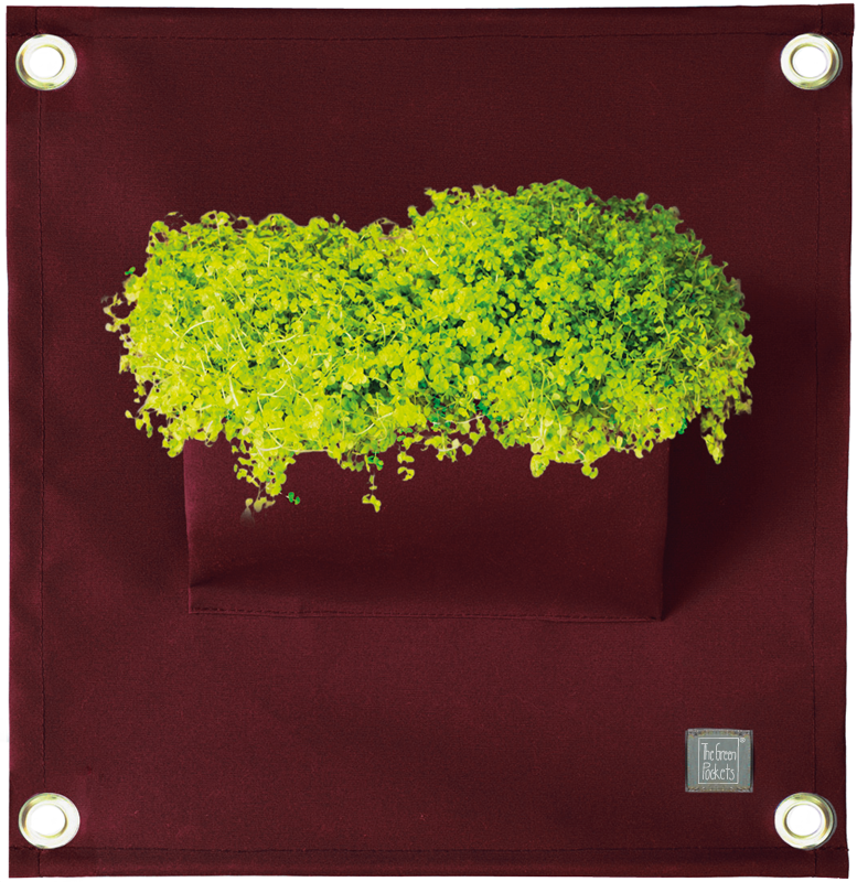 Fotografie The Green Pockets AMMA - závěsný obal na květináče Vínová