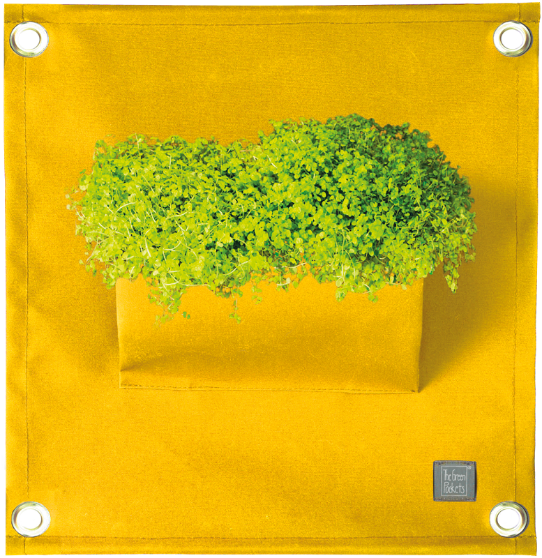 Fotografie The Green Pockets AMMA - závěsný obal na květináče Žlutá