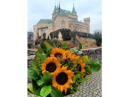 Kytica slnečnica maxi