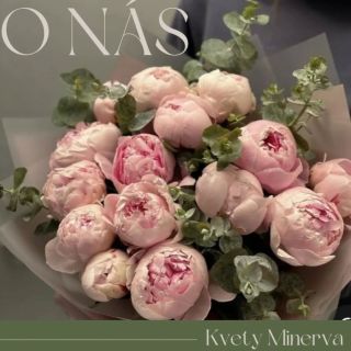 ɴɪᴇᴋᴛᴏʀᴇ́ ᴍᴏᴍᴇɴᴛʏ ꜱɪ ᴢᴀꜱʟᴜ́ᴢ̌ɪᴀ ᴠɪᴀᴄ ɴᴇᴢ̌ ʀʏ́ᴄʜʟᴇ ʀɪᴇꜱ̌ᴇɴɪᴇ. ᴢᴀꜱʟᴜ́ᴢ̌ɪᴀ ꜱɪ ᴘᴏᴢᴏʀɴᴏꜱᴛ̌. ᴠ ꜱᴠᴇᴛᴇ ᴘʟɴᴏᴍ ᴢʜᴏɴᴜ ᴄʜᴄᴇᴍᴇ...