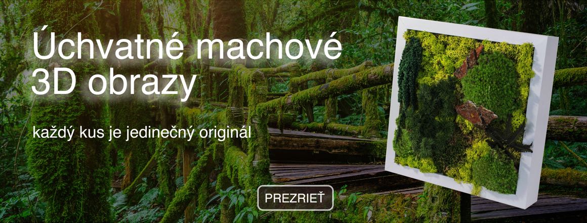 Machove 3D obrazy