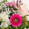 Kytica Wonder Sunflower kvetysliac.sk 2
