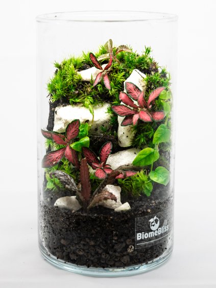 BB 20 Easy Meadow BM ČF