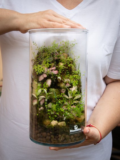 Biome bliss velkost mini 2
