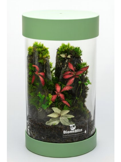 Copilot 20251117 210957