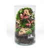 Set na výrobu rastlinného terária BiomeBliss Easy Meadow 30