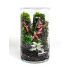 Set na výrobu rastlinného terária BiomeBliss Easy Meadow 30