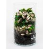 Rastlinne terarium BiomeBliss Easy Meadow 30