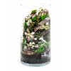 Rastlinne terarium BiomeBliss Easy Meadow 30