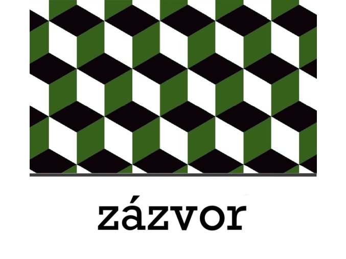 BGS zázvor 1 L