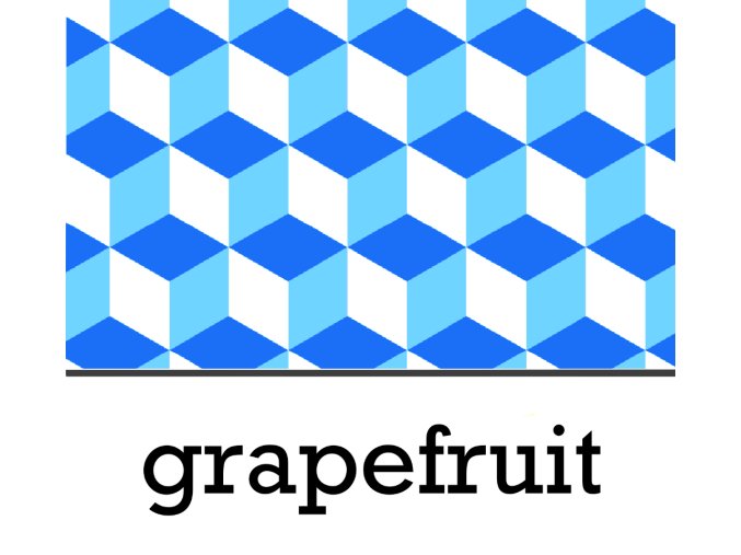 BGS grepfruit 1L