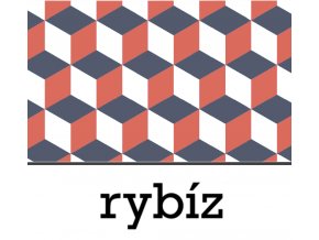 BGS rybíz 1 L