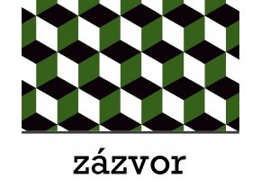 BGS zázvor 1 L