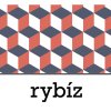 BGS rybíz 1 L