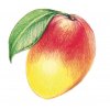 DO:PUSY mango » bal. 30ks