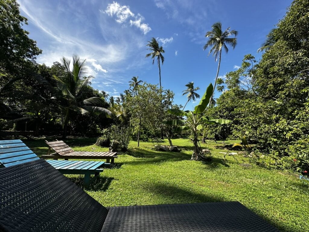 Dobrodružstvo na Srí Lanke: Ajurvédska očista tela a mysle