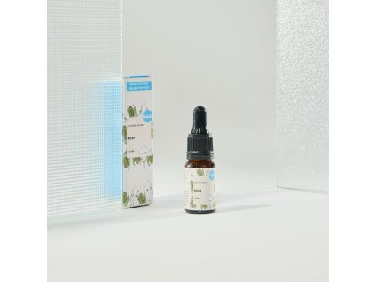 3378 pletove serum msm 10ml