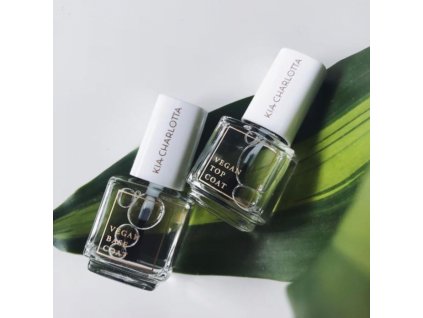 4956 vrchny fixacny lak na nechty top coat