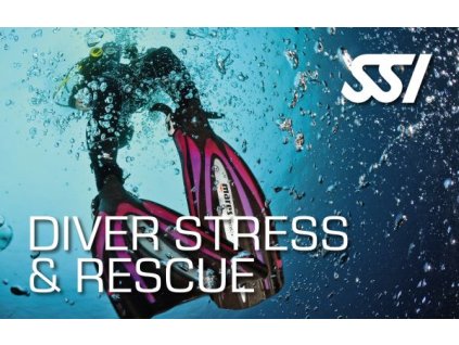 Kurz SSI Stress and Rescue