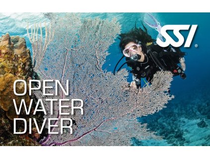 Kurz SSI Open Water Diver (OWD)