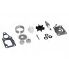 suzuki suzuki service kit for df4 5 6