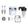 mercury service kit for 15 20 hp efi outboards