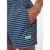 Kraťasy CADIZ TRUNK, navy stripe 05