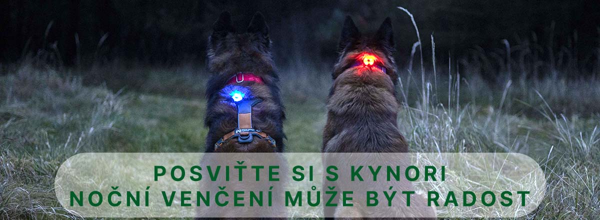 Posviťte si s Kynori NightPaw