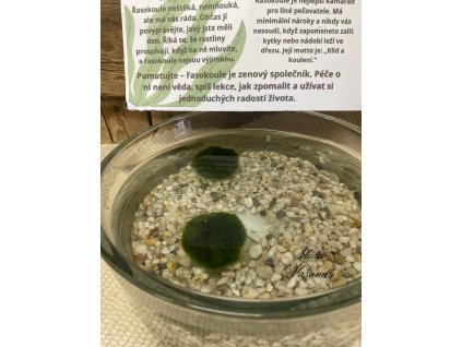 9FC93C75 B7FD 4CB6 99C4 CACF1895FBBC