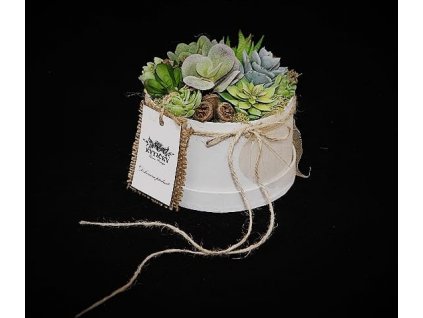 31f62ee5 cbd3 4816 82fe ea1fb19e104c