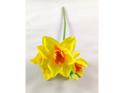 WhatsApp Image 2024 03 03 at 21.34.29