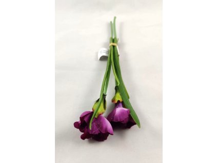 WhatsApp Image 2024 03 04 at 20.53.40 (kopie)