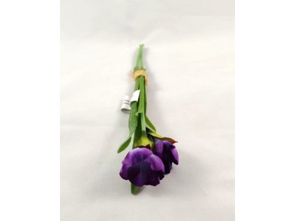 WhatsApp Image 2024 03 04 at 20.53.41 (kopie)