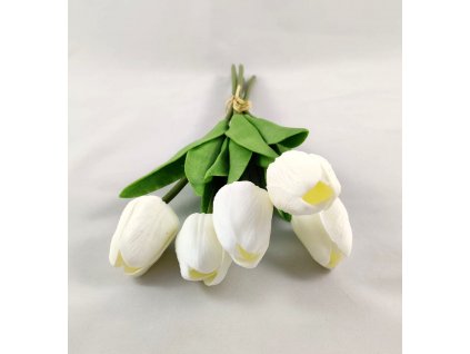 WhatsApp Image 2024 03 04 at 21.11.52 (1) (kopie)