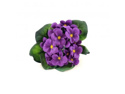 WhatsApp Image 2024 03 05 at 21.42.02