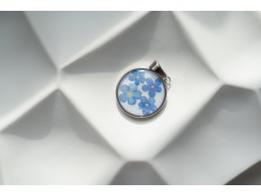 Medailonek BlueBlur