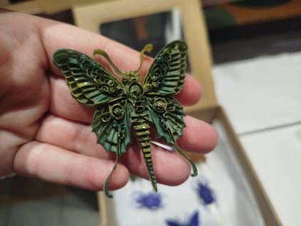 546615769 1374215998045579 8695768414393652299 n (1)