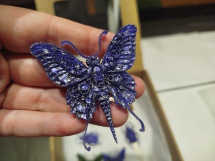 546742211 1374216194712226 7479539750667482357 n (1)