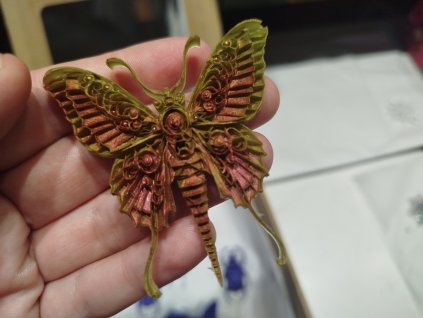 547645677 1374216834712162 511340156989034071 n