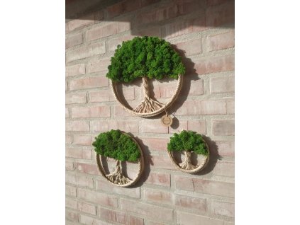 150876266 115093577219188 6529859651988584646 n