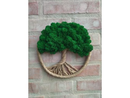 200859657 175476527847559 203141196336642757 n