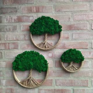 Podívejte se na tyto stromy života ze stabilizovaného mechu. Nejsou jen krásnou dekorací, nesou v sobě hluboký symbol....