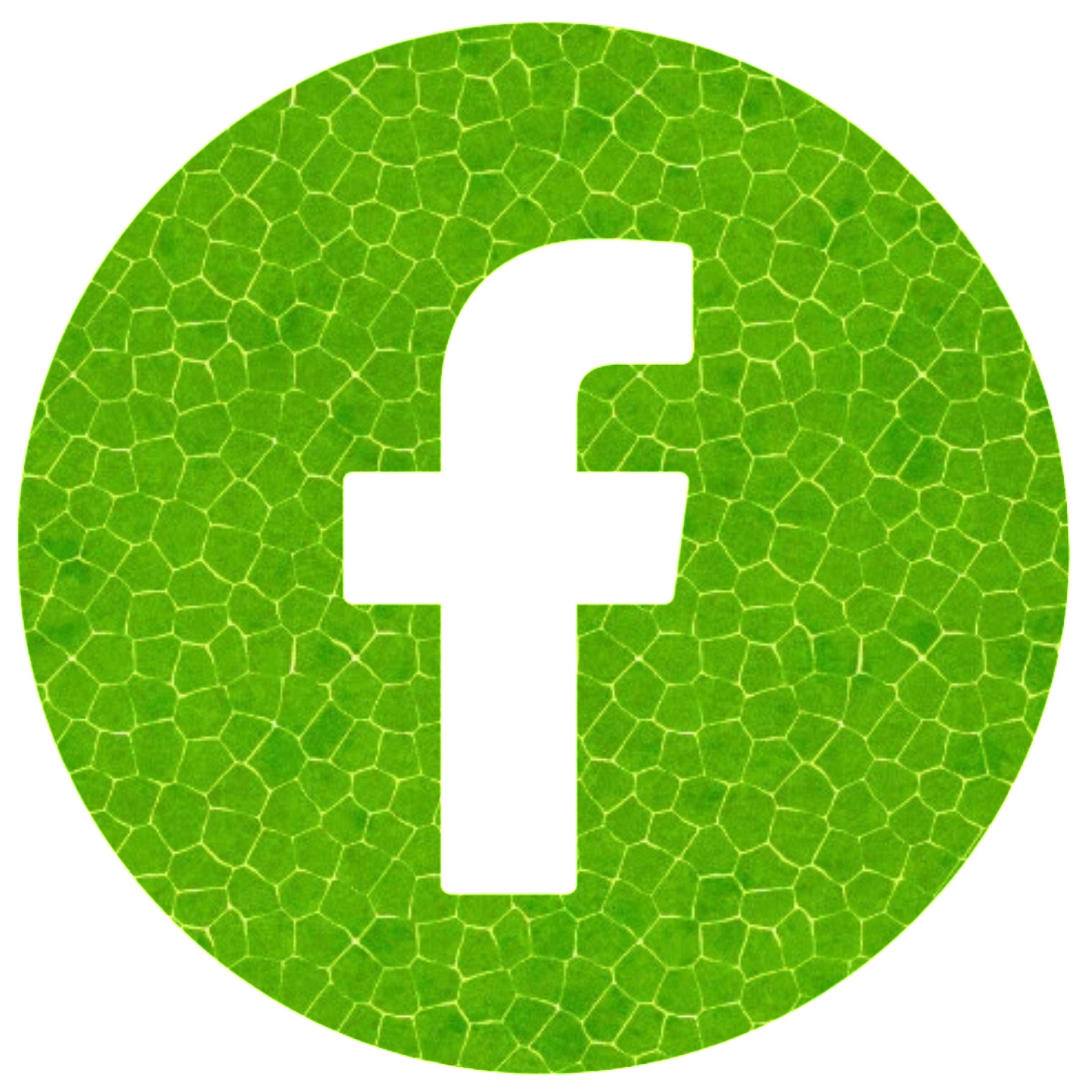 Logopit_1663056729750
